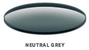 Neutral Grey