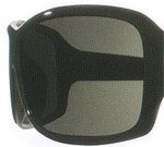 Von Zipper polarised lenses