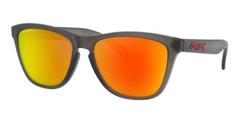 Oakley Frogskins OO9013-E6 Sunglasses