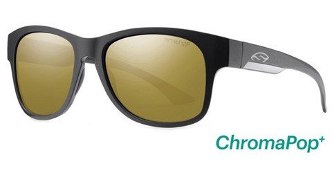 Smith Optics Wayward DL5-DE Sunglasses