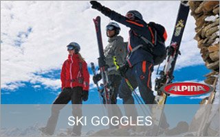 Alpina Ski Goggles